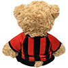 Plush Kit Teddy Bear