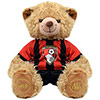 Plush Kit Teddy Bear