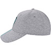 ADULT GREY STRIPE CAP