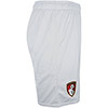 Adults Goalkeeper Shorts 24/25 - Lilac Hint