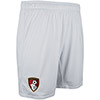 Adults Goalkeeper Shorts 24/25 - Lilac Hint