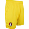 Mens Goalkeeper Shorts 24/25 - Cyber Yellow