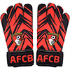 Zoom Goalkeeper Gloves