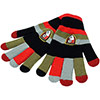 Adult Premium Touchscreen Gloves