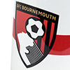 AFCB x England Mug