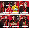 Womens Player Cards - 24/25 Season