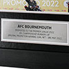 AFC Bournemouth Limited Edition Framed Promotion Goal Net