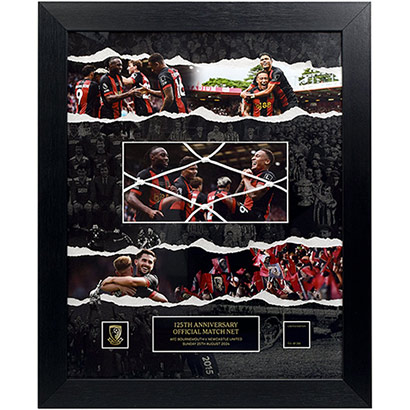 Limited Edition 125th Anniversary Framed Goal Net