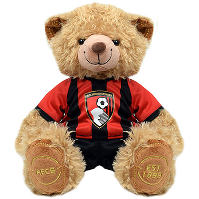 Plush Kit Teddy Bear