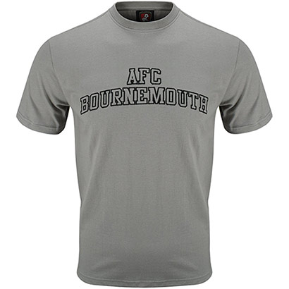 Adults Collegiate T Shirt - Stone