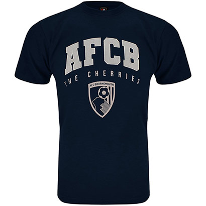 Adults Faculty T Shirt - Navy