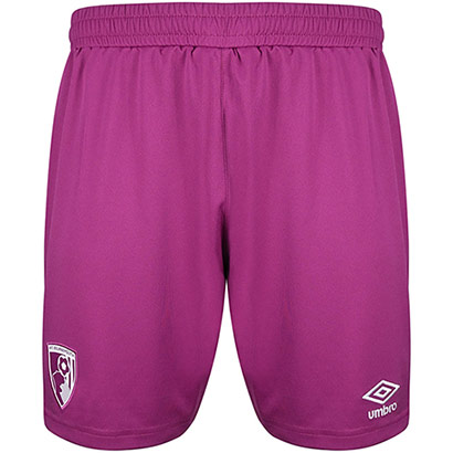 Adults Goalkeeper Shorts 25/26 - Wild Aster