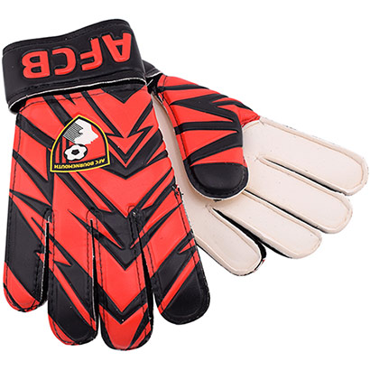 Zoom Goalkeeper Gloves