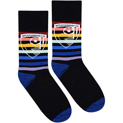 Adults Rainbow Stripe Socks