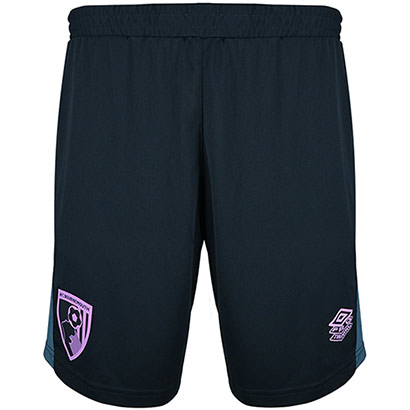 Mens 25/26 Training Shorts - Blueberry