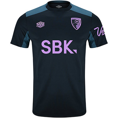 Mens 25/26 Training T Shirt - Blueberry