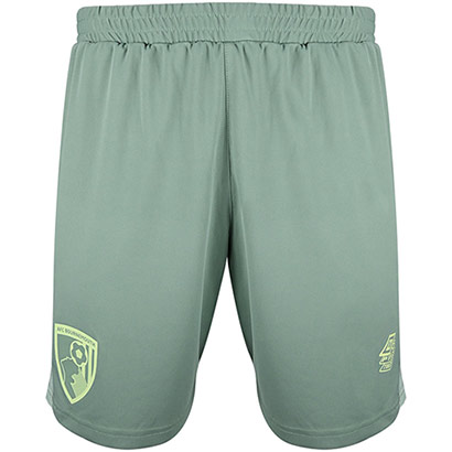Childrens 25/26 Training Shorts - Green Bay